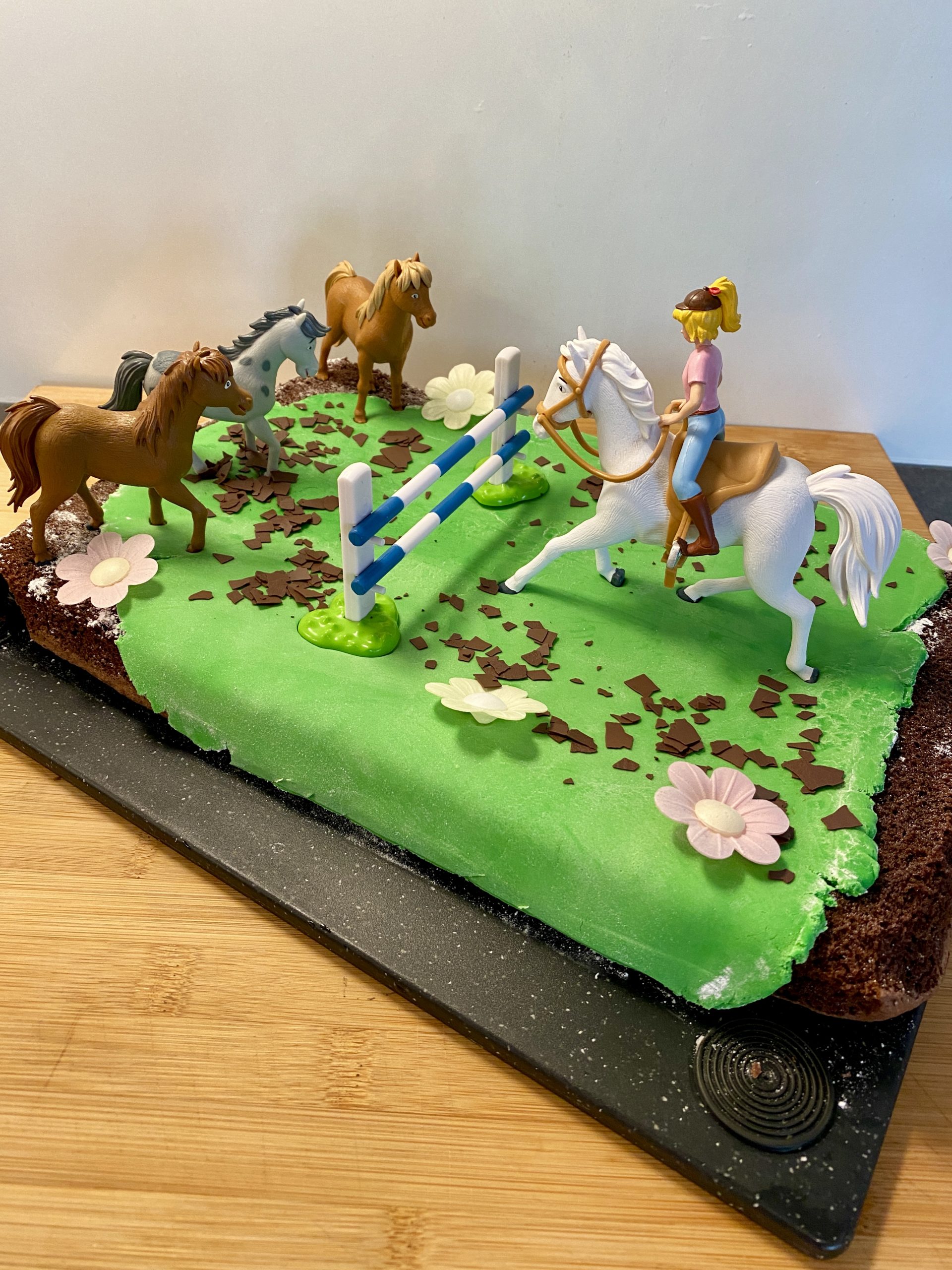 Endlich 7 Ein Kindergeburtstag Mit Bibi Und Conni Wib Einfach Carolin